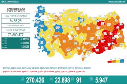 Covid_19, Türkiye'de 2 Ağustos'ta 91 toplamda 51.519 can aldı