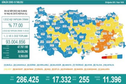 Covid_19, Türkiye'de 29 Ağustos'ta 255 toplamda 56.208 can aldı