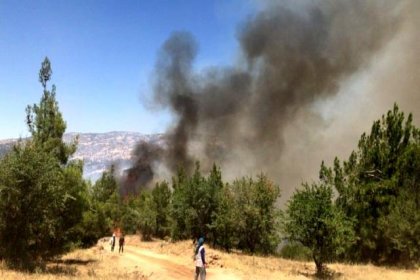 Denizli'nin Buldan ve Güney ilçelerinde orman yangını kontrol altına alındı
