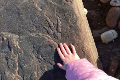 Dört yaşındaki çocuk 220 milyon yıllık dinozor ayak izi buldu