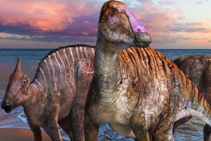 Fosilleşmiş kemikleri 72 milyon yıl önceye dayanan dinozor 'yeni bir tür' olarak kayıtlara geçti