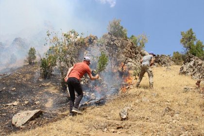 Hakkari Şemdinli'de orman yangını kontrol altına alındı