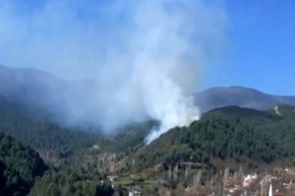 Hatay'da orman yangını