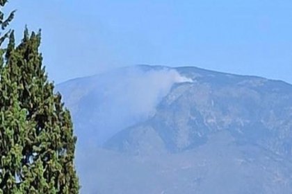 Hatay'da orman yangını