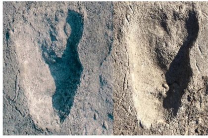 İnsanların ilk atalarına ait 3,7 milyon yıllık ayak izleri bulundu
