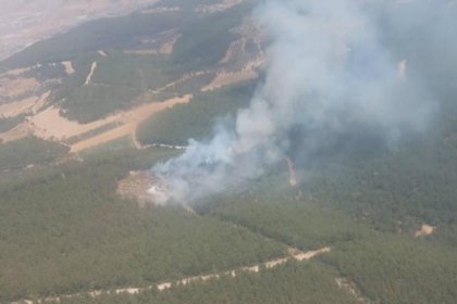 İzmir Foça'da orman yangını