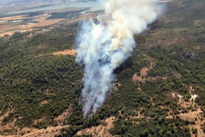 İzmir Menderes'te orman yangını