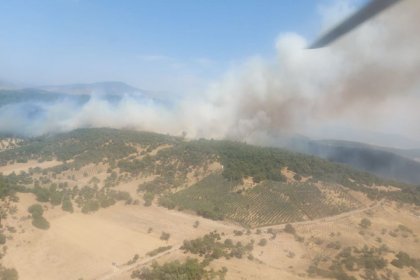 İzmir’in Foça'da orman yangını