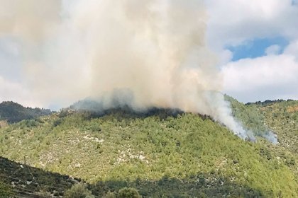 Manavgat'taki yangında 6 hektarlık ormanlık alan zarar gördü