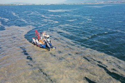 'Marmara’ya taşınan azot ve fosfor yükleri denizin dengesini bozdu'