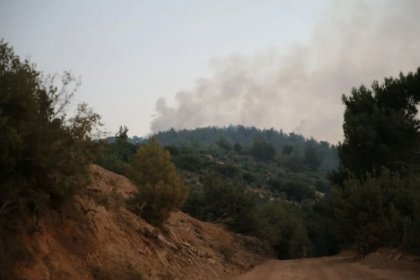 Mersin ve Hatay'da orman yangını