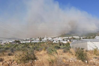 Mersin'de orman yangını