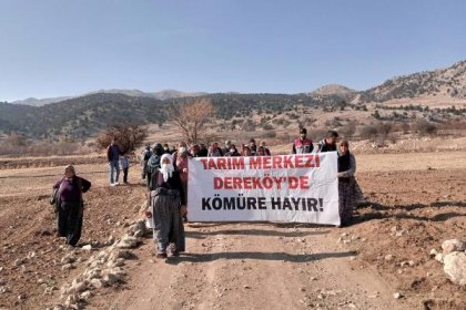 Meyve üretim bölgesine kömür ocağı izni yargıya taşındı