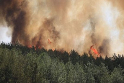 Milas Belediye Başkanı Tokat: Yeniköy Termik Santrali’ne 4 km mesafede yangın devam ediyor