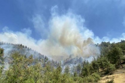 Muğla Seydikemer’de orman yangını