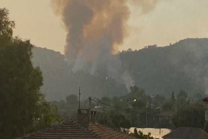 Muğla'da bir orman yangını daha