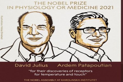 Nobel Tıp Ödülü'nün kazananları açıklandı