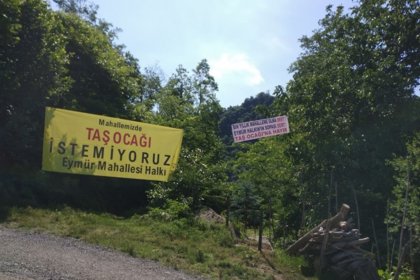 Ordu'da taş ocağı mahkeme tarafından durduruldu