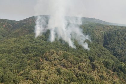 Orman Genel Müdürlüğü’nden Tunceli’deki yangına ilişkin açıklama