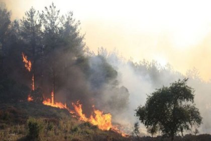 Orman yangınlarının 9. gününde son durum: 6 ilde 15 yangın devam ediyor