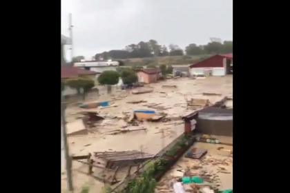 Sinop'ta sel felaketi: Dere taştı, evler yıkıldı