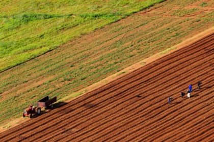 Sudan, Türkiye’ye tarım arazisi tahsis etti