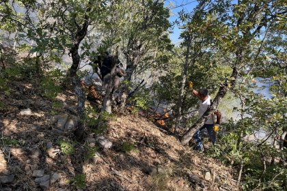 Tunceli Belediye Başkanı Maçoğlu; yangına İtfaiye ekiplerimiz, AFAD, MUDAK, Orman işletme ekipleri, Tunceli Milli Parklar ve Doğa Koruma Müdürlüğü ile gönüllüler yerde; havadan da uçak ve helikopterle müdahale edildi