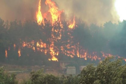 Uzmanlar uyardı: Bu yıl 194 bin hektar orman yandı, önümüzdeki dönem daha da artacak