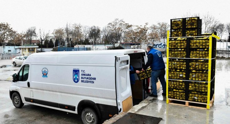 Ankara Büyükşehir Belediyesi, sosyal yardım alan 12 bin aileye üreticiden aldığı limonları ücretsiz dağıttı
