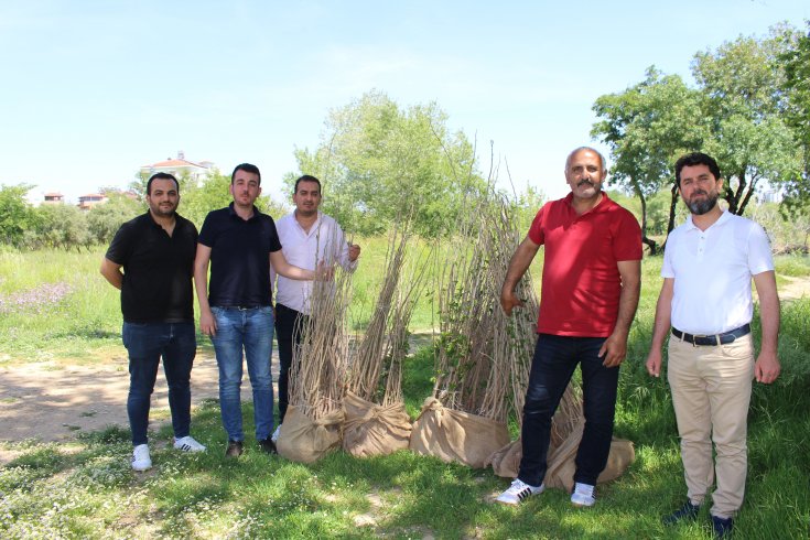 Antalya Büyükşehir'den ipekböcekçiliğine destek; Yanan dut fidanları yerine yenileri verildi