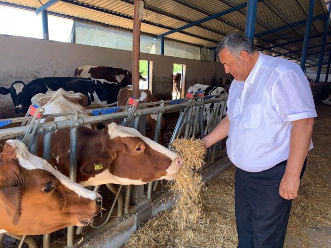 Besici Dündar: '1 litre süte karşı 1 kilo yem alamıyoruz' Besici Dündar: '1 litre süte karşı 1 kilo yem alamıyoruz'