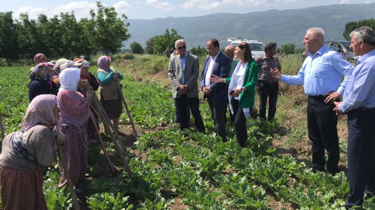 CHP heyeti Tokat'ta çiftçilerle tarlaya girdi; Geçen sene 5 litre yağ 60 TL iken şimdi 170 TL