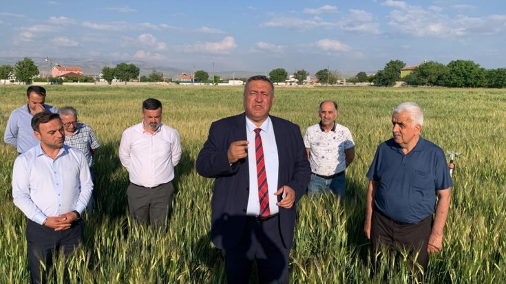 CHP'li Gürer 'çiftçi hasat etmeden taban fiyat eridi'