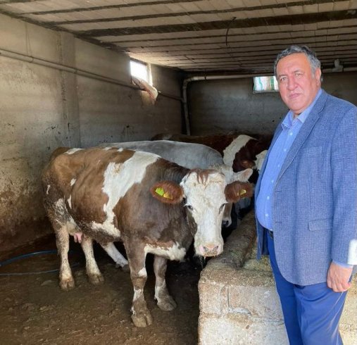CHP'li Gürer: 'Sütün kaymağını aracılar yiyor' CHP'li Gürer: 'Sütün kaymağını aracılar yiyor'