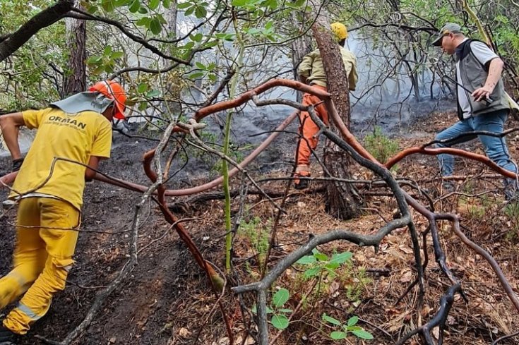 Datça'da 24 saat önce başlayan orman yangını kontrol altına alındı soğutma işlemleri yapılıyor