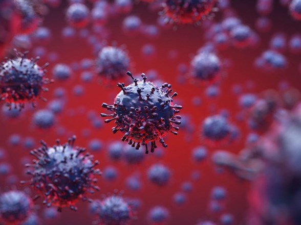DSÖ, COVİD19'un küresel yayılımında Omicron'un diğer varyantlara baskın geldiğini açıkladı DSÖ, COVİD19'un küresel yayılımında Omicron'un diğer varyantlara baskın geldiğini açıkladı
