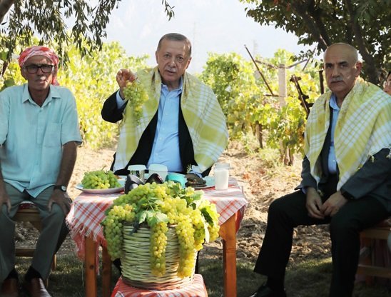 Erdoğan, Manisa'dan sultani çekirdeksiz üzümün alım fiyatını 27 TL olarak açıkladı