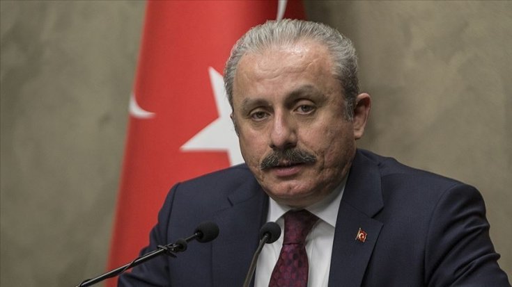 Mustafa Şentop, DBP'li Salihe Aydeniz'in dokunulmazlık fezlekesini Anayasa Adalet Karma Komisyonuna gönderdi