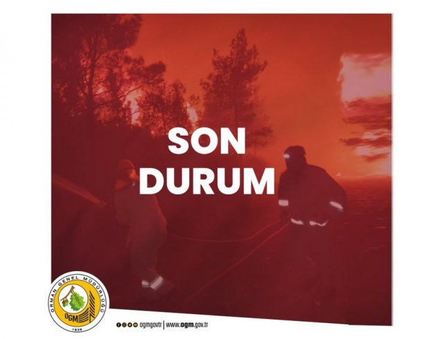 Orman Genel Müdürlüğü'den açıklama yapıldı, yangına müdahale devam ediliyor Orman Genel Müdürlüğü'den açıklama yapıldı, yangına müdahale devam ediliyor