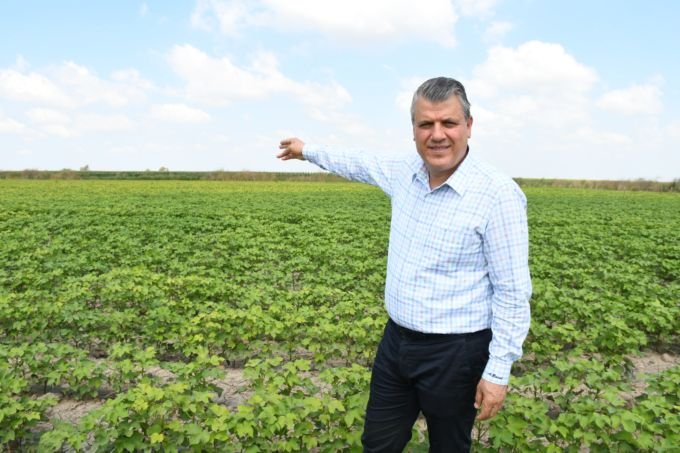 Soya üretimi yaygınlaşırsa ithalata gerek kalmaz! Soya üretimi yaygınlaşırsa ithalata gerek kalmaz!