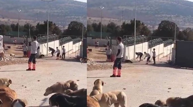 Tarım ve Orman Bakanlığından açıklama: Konya Büyükşehir Belediyesi Geçici Hayvan Bakımevi ve Rehabilitasyon Merkezinde inceleme başlatıldı