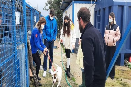 Başak Dizer - Kıvanç Tatlıtuğ çiftinden sokak hayvanlarına destek