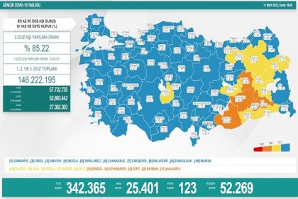COVİD19, Türkiye'de 11 Mart'ta 123 toplamda 96.078 can aldı