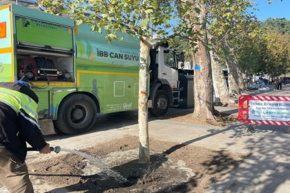İBB, Beşiktaş'ta ki hastalıklı ağaçları yeniliyor