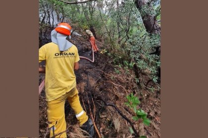 İzmir, Çeşme orman yangını kontrol altına alındı