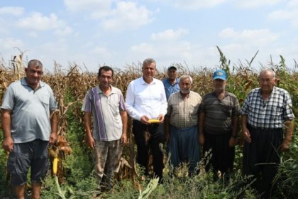 Mısır üreticisi isyan ediyor, çiftçi taban fiyatın 7 lira olmasını istiyor!
