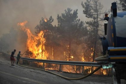 Muğla Datça'da öğle saatlerinde başlayan yangın şiddetli rüzgar ile hızlandı