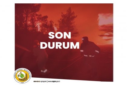 Orman Genel Müdürlüğü'den açıklama yapıldı, yangına müdahale devam ediliyor