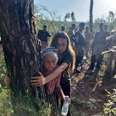 Akbelen Ormanı'nda Limak jandarma denetiminde ağaç kesmeye devam ediyor