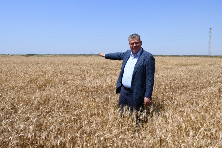 Ayhan Barut; Buğday taban fiyatı en az 9.5-10 lira olmalıdır